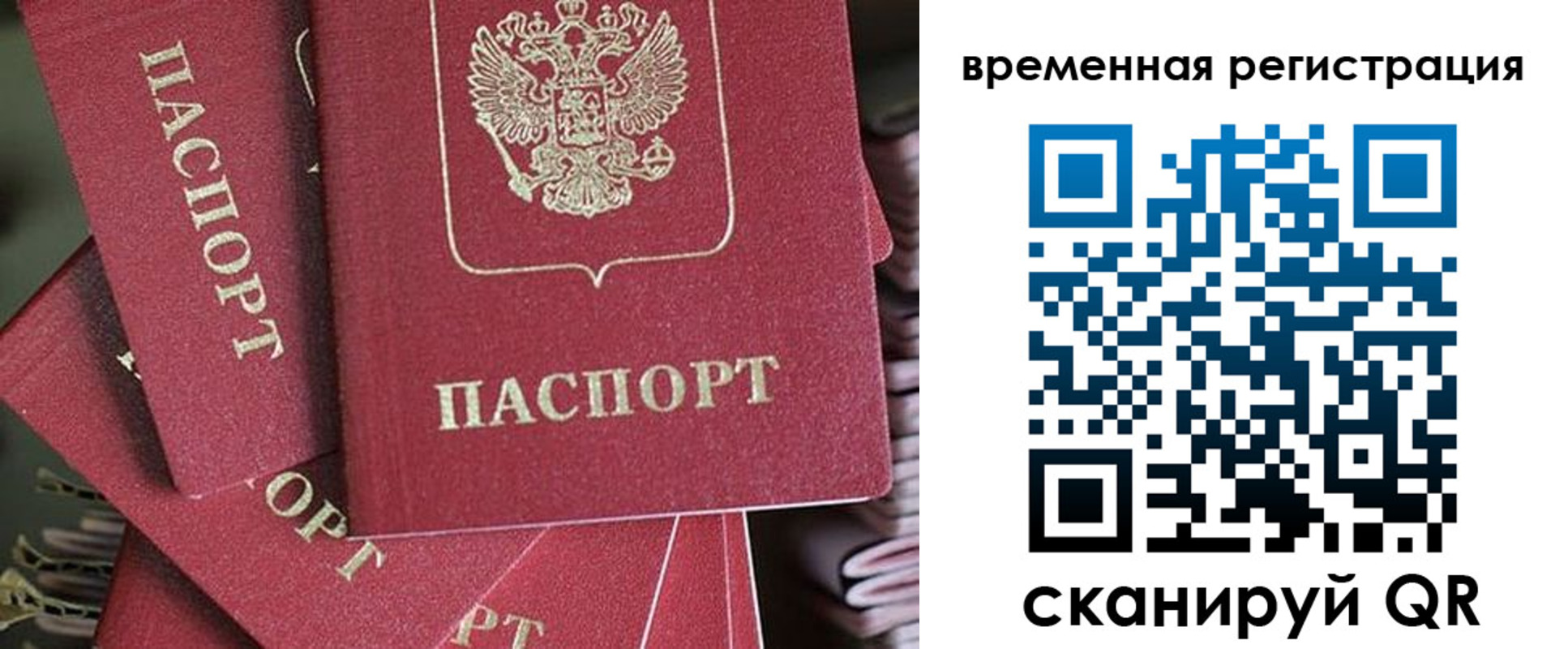 прописка в квартире в Завитинске